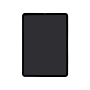 Display Nero iPad Pro 11’’